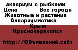 аквариум с рыбками › Цена ­ 1 000 - Все города Животные и растения » Аквариумистика   . Крым,Красноперекопск